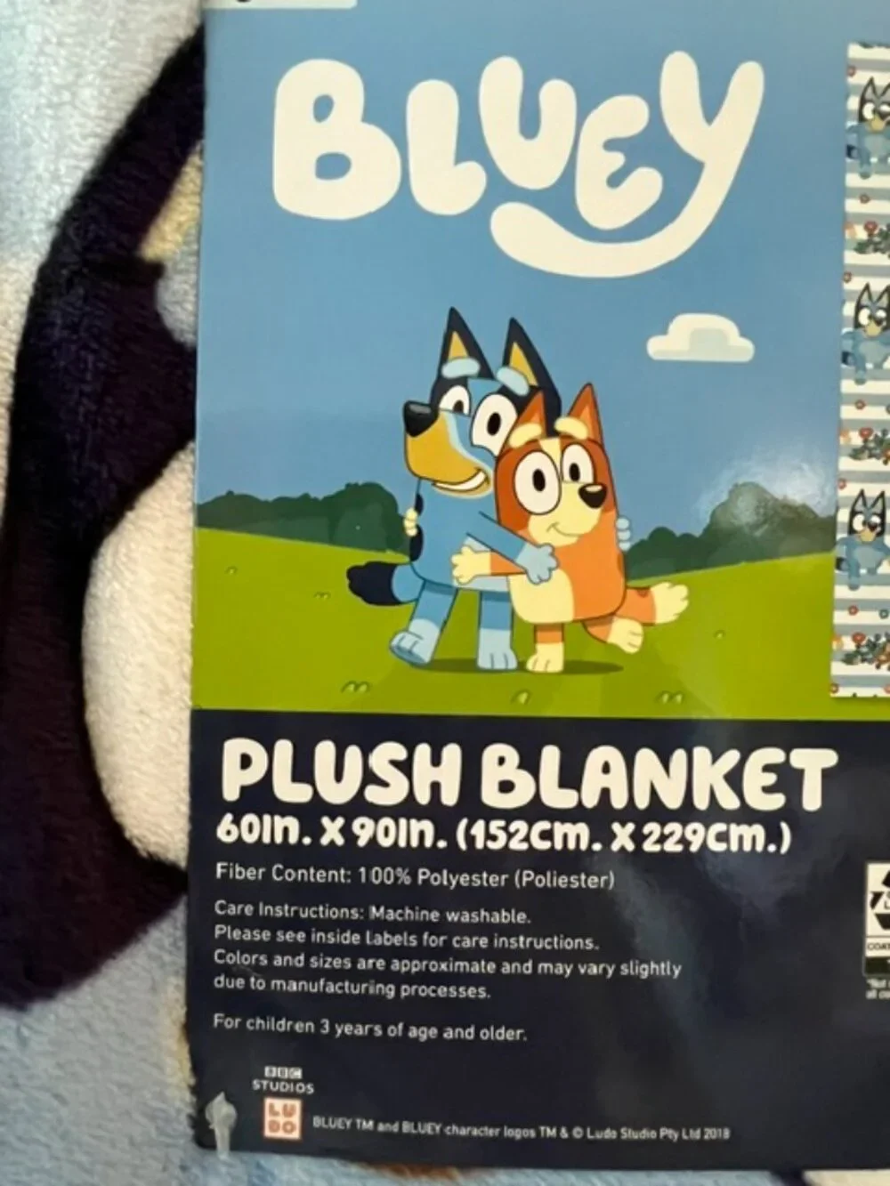 BLUEY SPRING OVERSIZED BLANKET